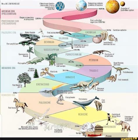 Ia = WULUON YERRS Oldest krowe fossils algassing produces stromalsite ...