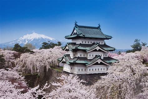 a tall white building surrounded by lots of cherry blossoms in front of ...