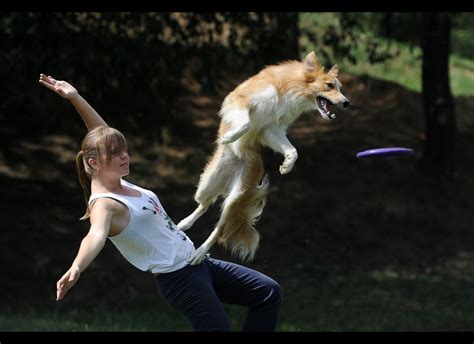 Russian Dog Frisbee Championships: Pooches Perform Near-Acrobatic ...