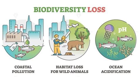 Biodiversity loss issues and causes as climate ecosystem problem ...