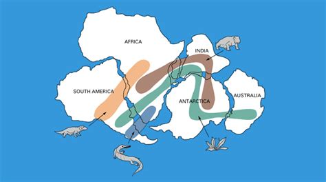 Lystrosaurus Continental Drift