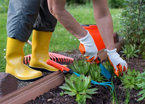 The Top 5 Must-Have Gardening Tools – Greenwood Hardware