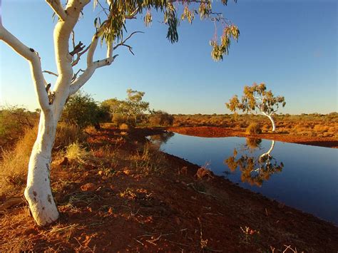 Free download | HD wallpaper: outback, australia, landscape, nature, waterhole, tree, plant ...