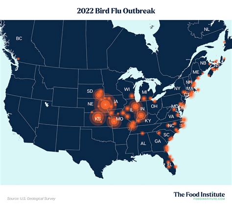 As Bird Flu Outbreak Grows, Egg Prices Spike - The Food Institute