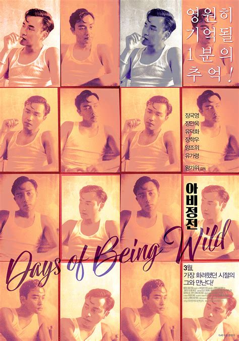 Days of Being Wild Poster 27: Full Size Poster Image | GoldPoster