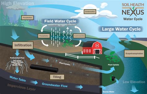 New Whitepaper Explores the Connection between Soil Health and Water ...