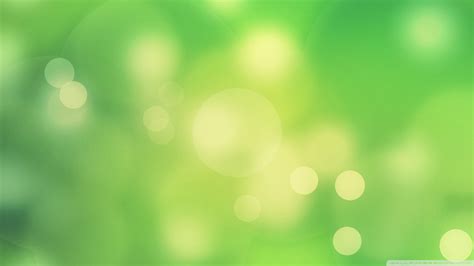 Green Background Wallpaper - WallpaperSafari