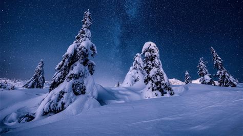 Nature Night Norway Snow Starry Sky Stars Winter HD Winter Wallpapers ...