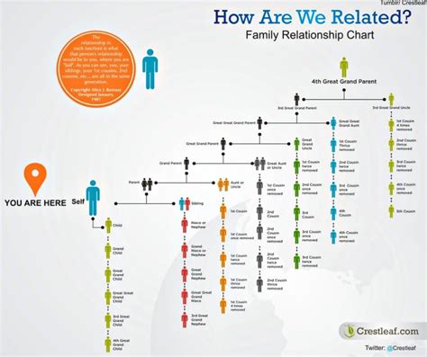 family tree chart 2nd cousin - Tawny Scoggins