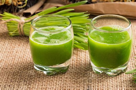 The Wonders of Green Juices: Benefits & Risks (and a Special Recipe, too!) - Tastylicious