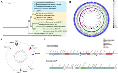 Frontiers | Complete Genomic Analysis of Enterococcus faecium Heat-Resistant Strain Developed by ...