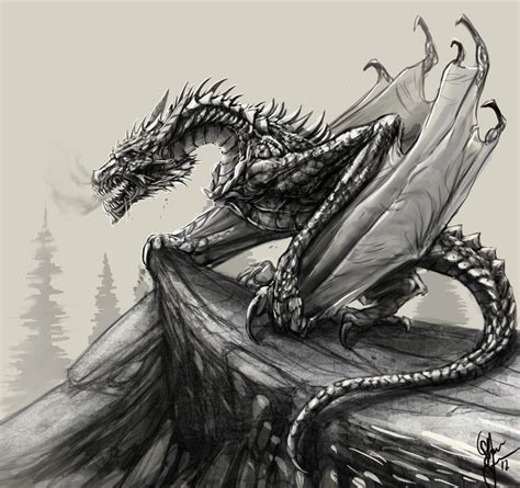 Pin by B. Vivero on DRAGONES | Dragon sketch, Dragon drawing, Fantasy dragon