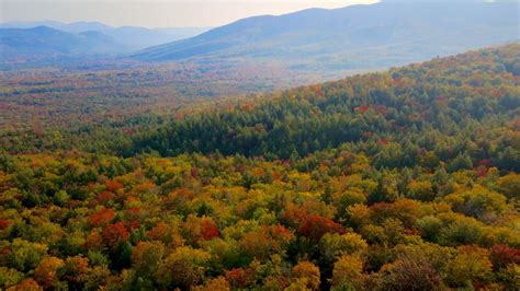 Autumn Fall Aerial Free Aerial Drone Stock Video Footage Clip