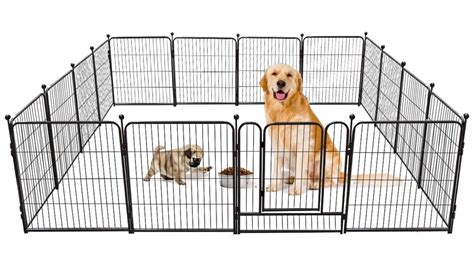 Collapsible Dog Fences: Portable Solutions for Pet Safety