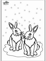Winter Animals Coloring Pages At GetColoringscom  Free Printable sketch template