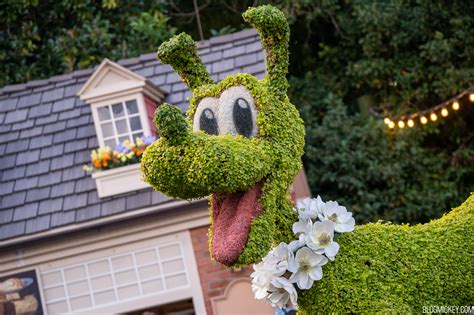 Pluto, Chip and Dale Topiaries Arrive at The American Adventure