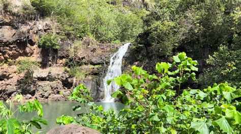 Waimea Waterfall Tours - Dolphins And You