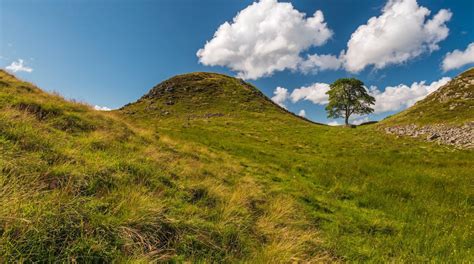 Northumberland National Park Tours - Book Now | Expedia