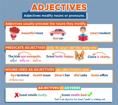 Adjectives: Modifying Nouns & Pronouns - Curvebreakers