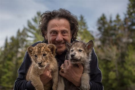 Il lupo e il leone: trailer e foto del film di Gilles de Maistre da ...