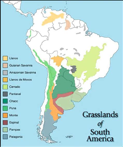 Humedales del altiplano de Sudamérica: características y amenazas