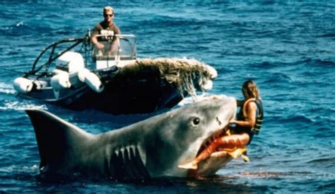 5 Shark Movies To Feed Your Megalodon Appetite After Watching 'The Meg'