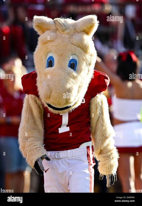 Oklahoma sooners mascot hi-res stock photography and images - Alamy