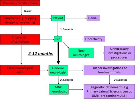 Motor Neurone Disease Symptoms And Treatment | Webmotor.org