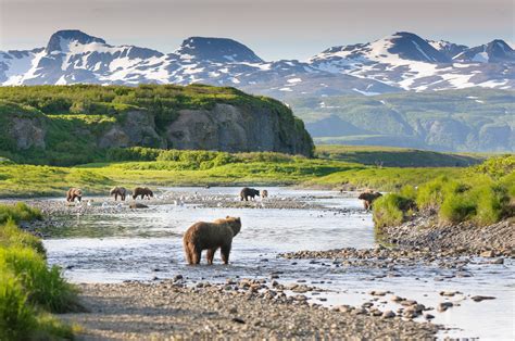 Get to Know All Eight Awe-Inspiring National Parks in Alaska