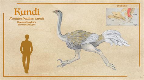 Kundi by IllustratedMenagerie on DeviantArt