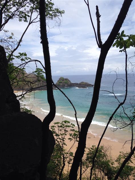 Baia do Sancho/ Fernando de Noronha | Noronha, Ilha fernando de noronha ...