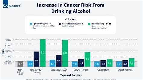 The Link Between Alcohol Consumption and Cancer: A Comprehensive Review