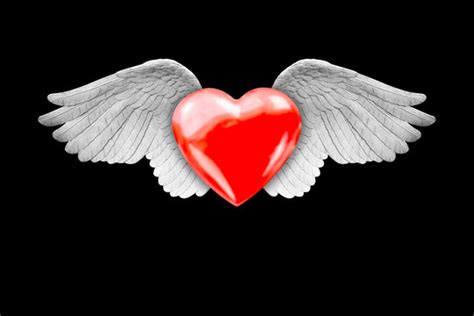 Sacred Heart Art With Wings