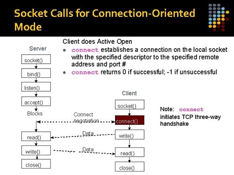 Berkeley API Socket Programming Socket API API Application