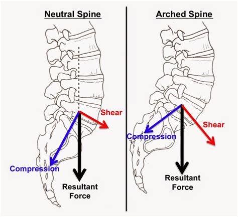 Spine Flexion Degrees