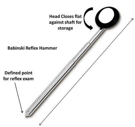 Babinski reflex test & causes of positive Babinski reflex in adults