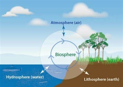 what is the difference between lithosphere and Hydrosphere - Brainly.in