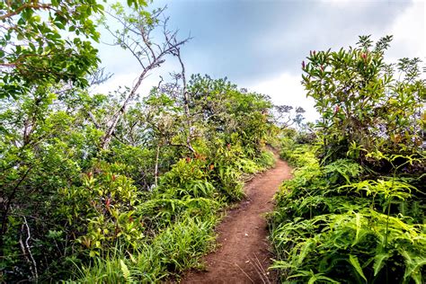 The most scenic hiking trails in the u s for fall foliage – Artofit