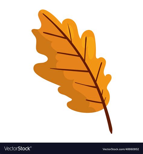 Autumn leaf isolated design Royalty Free Vector Image