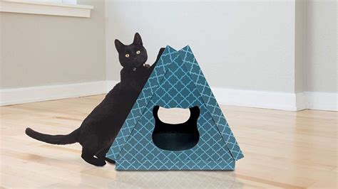 Cat Cardboard Houses: 20 Colorful Shelters That Go Way Beyond Boxes