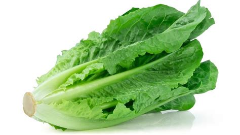 Why You Might Want To Choose Romaine Lettuce Over Iceberg Lettuce