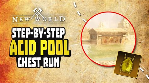 EASY Gold Every Day - Acid Pools Chest Run Guide | New World - YouTube