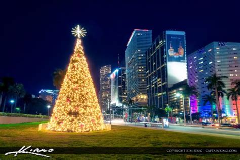 Miami Downtown Christmas Tree 2016 | Royal Stock Photo