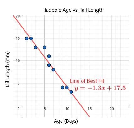 How to Make Predictions from the Line of Best Fit | Algebra | Study.com