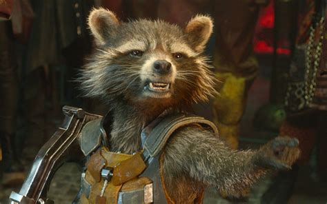 Rocket Raccoon Quotes. QuotesGram