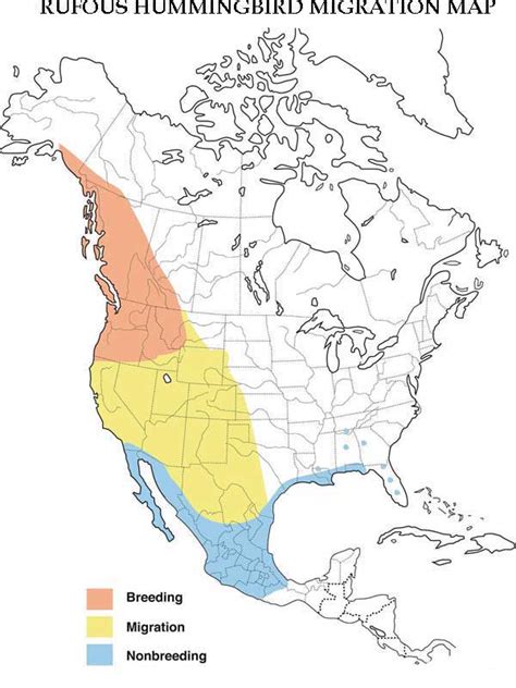 Hummingbird Migration. Spring & Fall Migration Information.