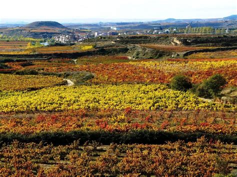 La Rioja - A Spanish Region That Is A Feast For The Senses!