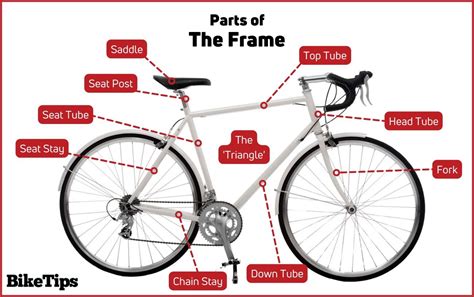 What Are All The Parts Of A Bicycle | Reviewmotors.co