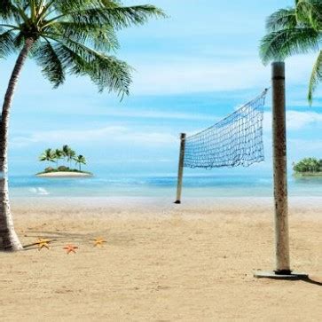 Beach Photography Background Beach Volleyball Net Coconut Trees Backdrops