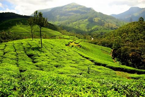 13 Most Beautiful Hill Stations in Kerala - Travlics